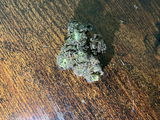 gus review photo