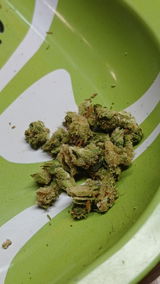 David Kirby review photo