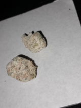 Matt Henschel review photo