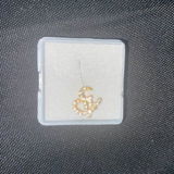 Dominque M. review photo