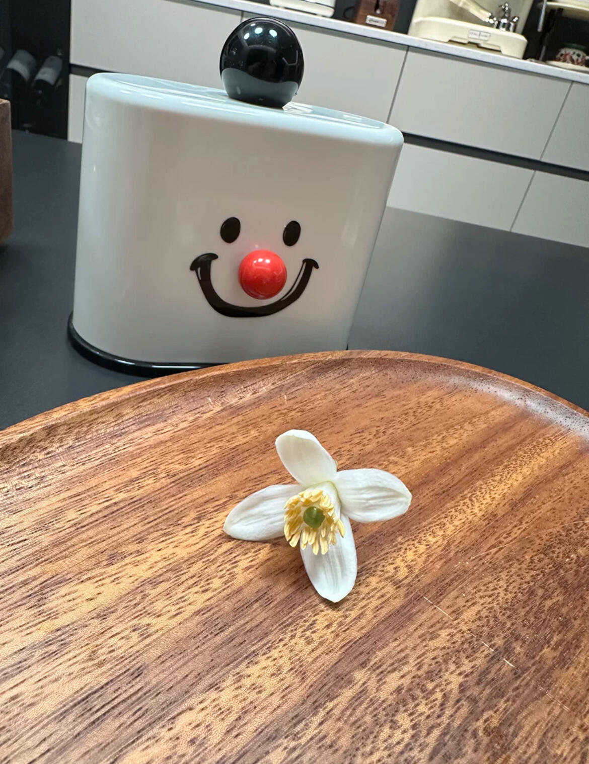 Smile Acrylic Makeup Storage Box, customer photo