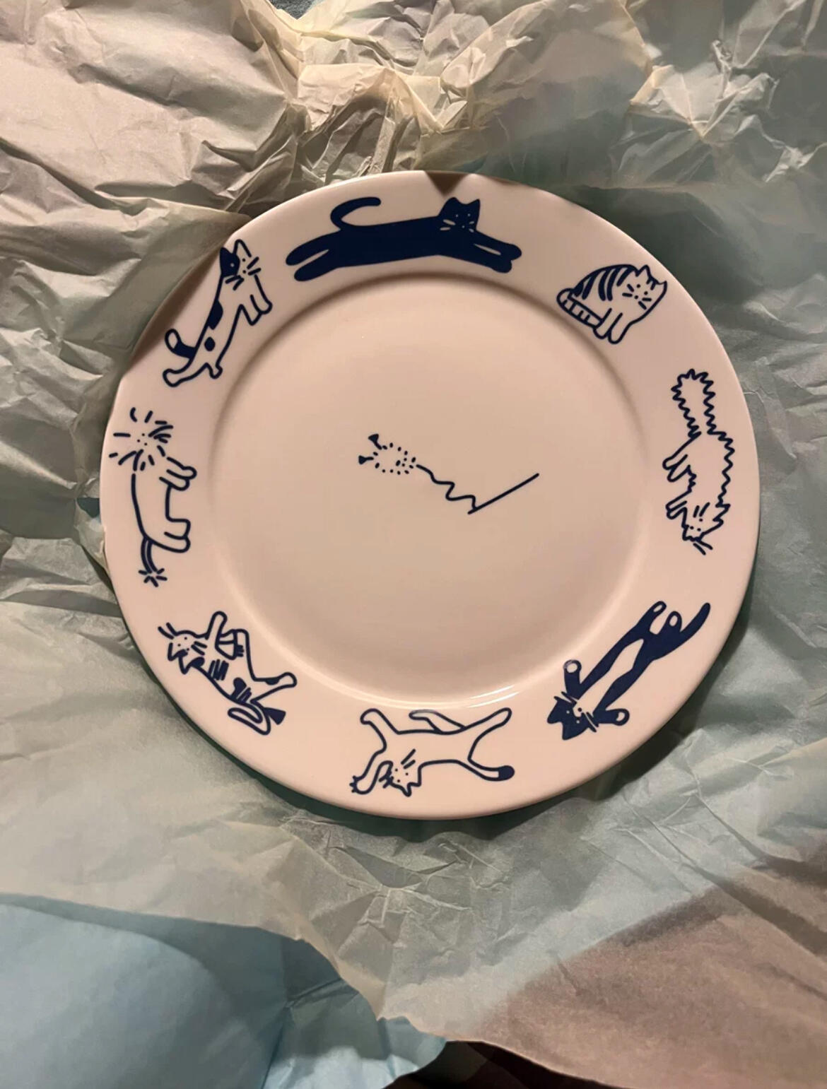 Blue Cat & Dog Ceramic Plate, customer photo