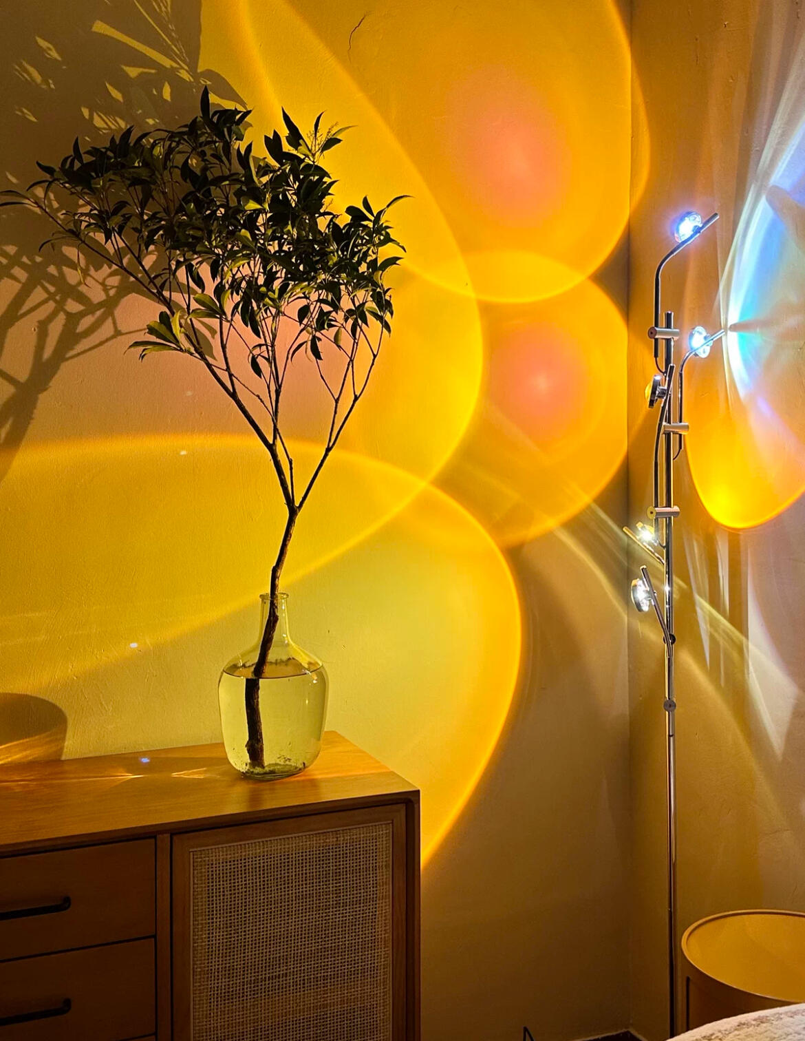 Sunset Projector Floor Lamp, customer photo