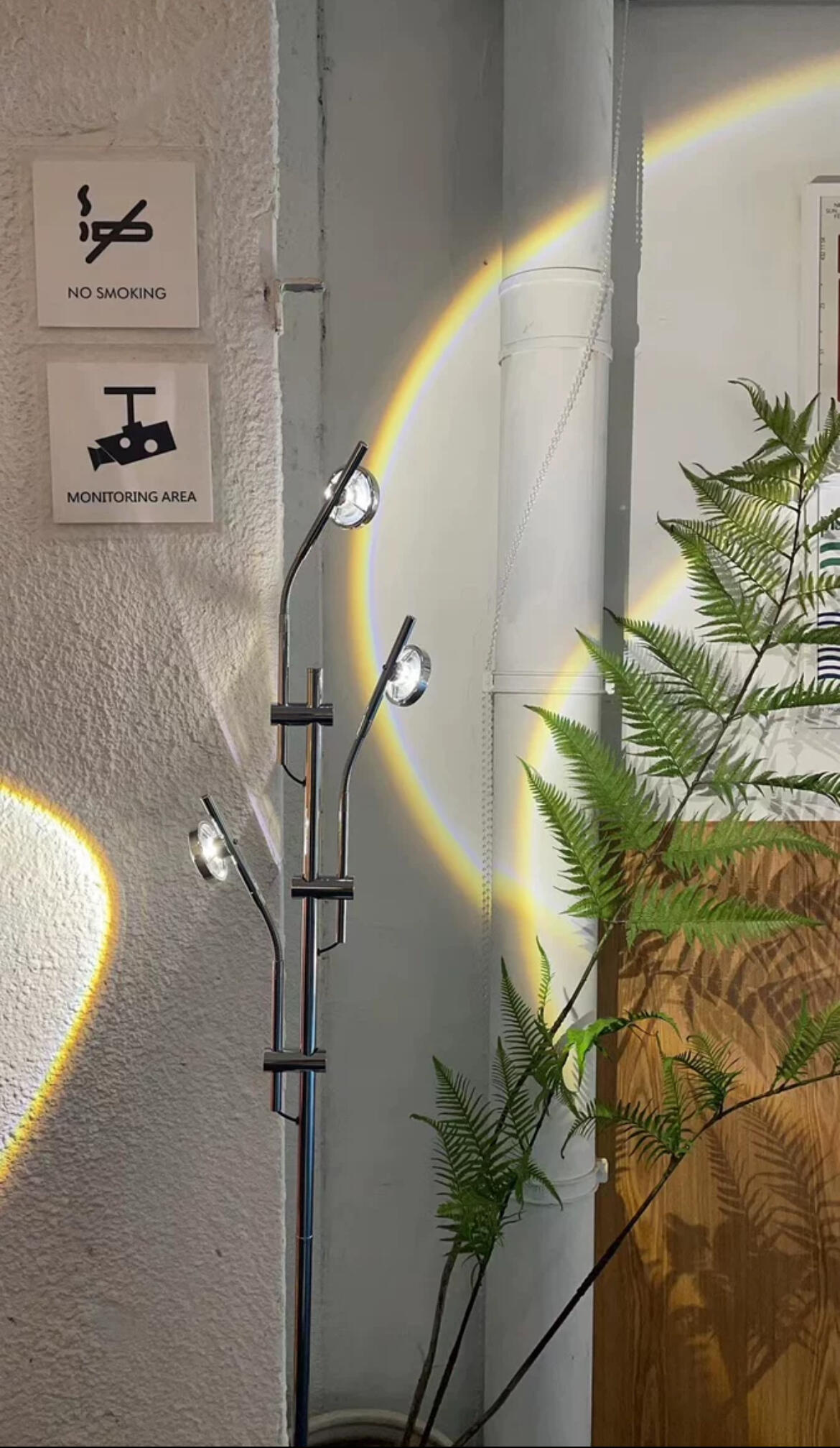 Sunset Projector Floor Lamp, customer photo