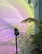 Savanah review photo