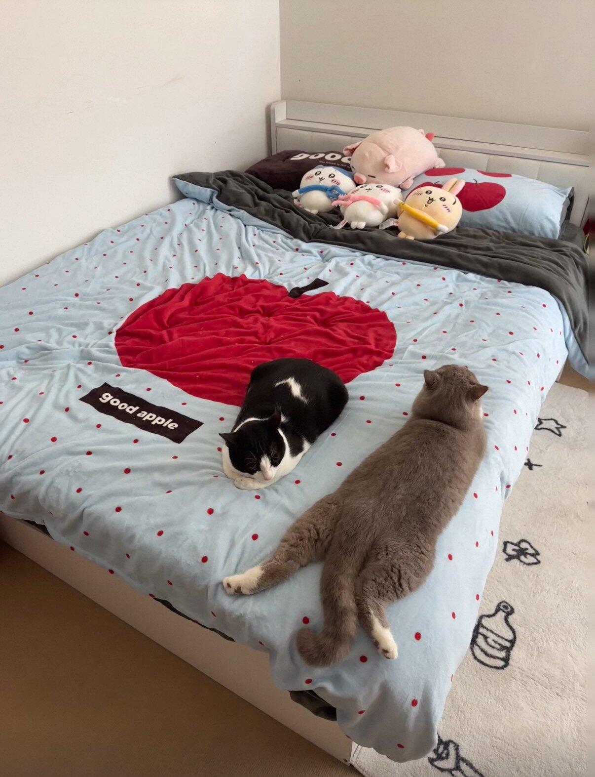 Cute Apple Milk Fleece Bedding Set, customer photo