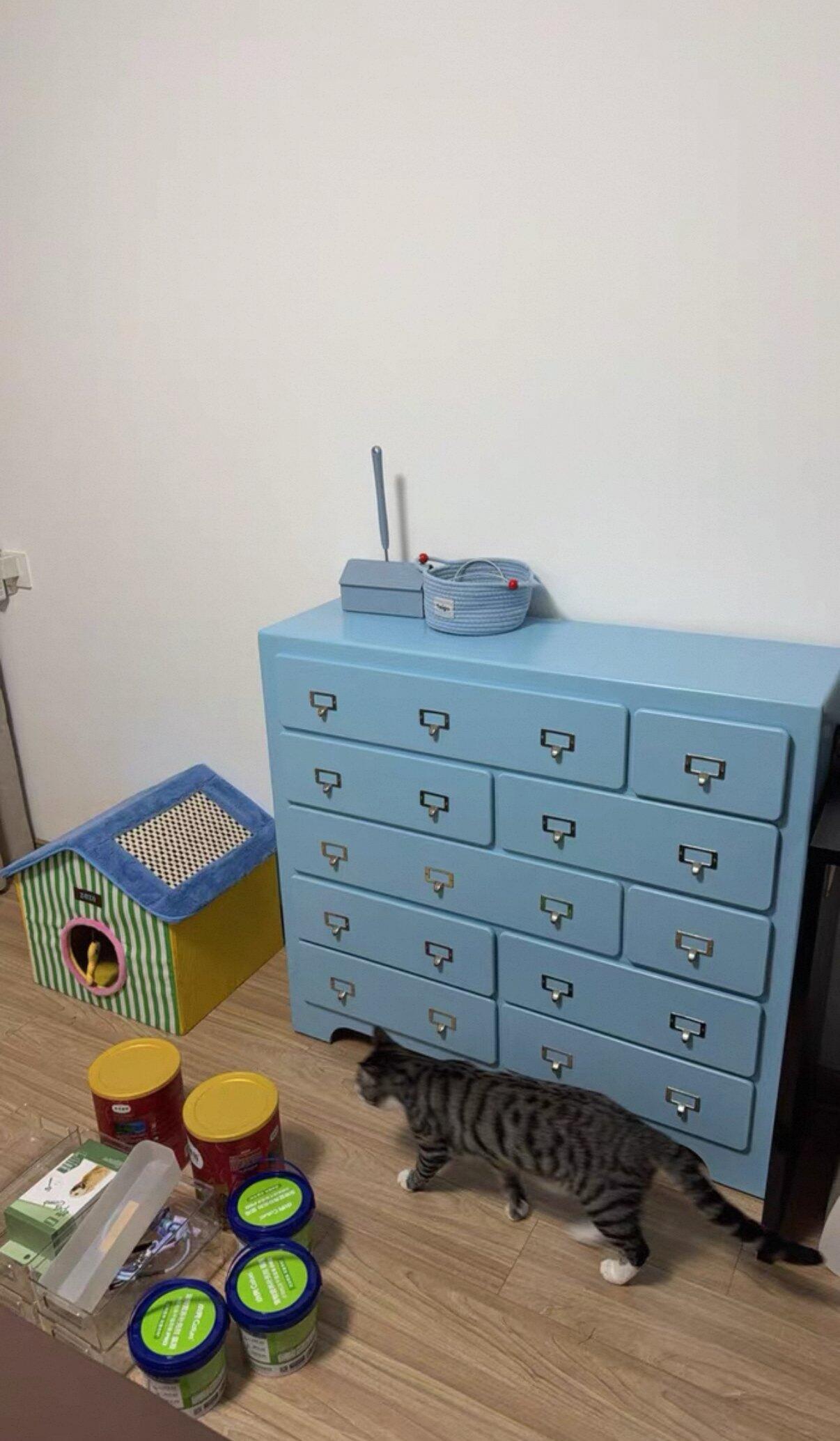Pink 10-Drawer Dresser, customer photo