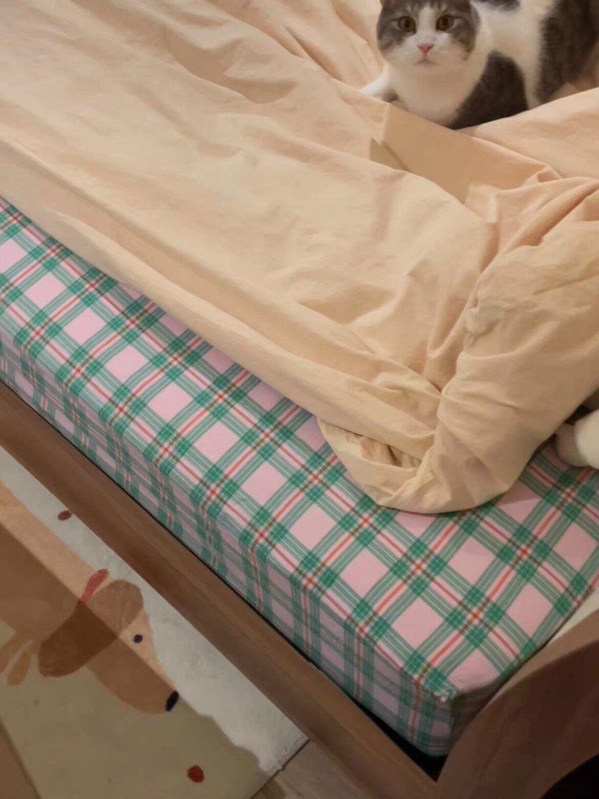 Pink & Mint Green Plaid Duvet Cover Set, customer photo