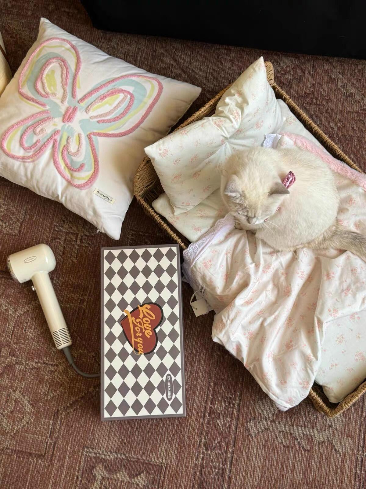 Embroidered Canvas Throw Pillow, customer photo