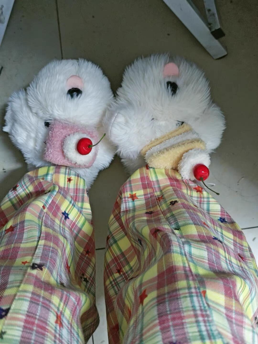 Cherry Cake Dog Slippers, customer photo