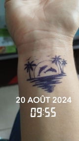 Dauphin azur review photo