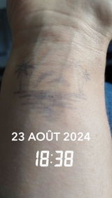 Dauphin azur review photo