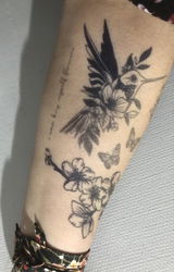 Carostu review photo