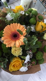 Mrs Alison D Kennett review photo