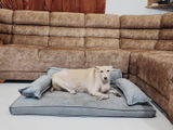 Ziggy review photo