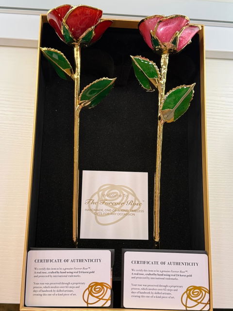24K Gold Forever Rose - Red (Open Bloom)