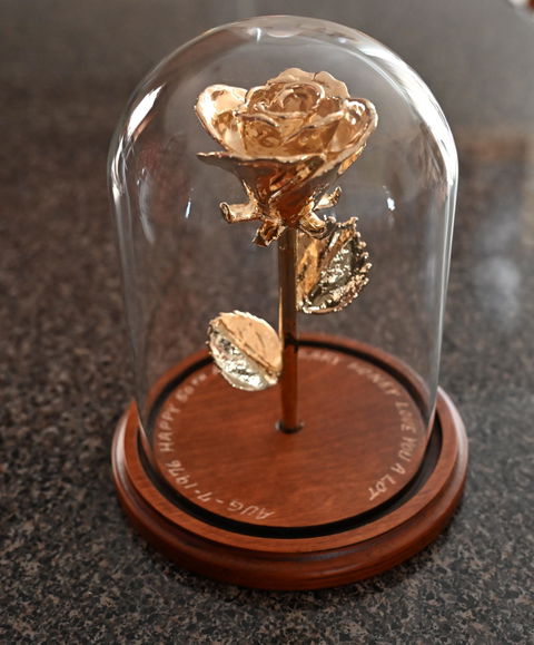 The Forever Rose 