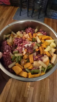 Essential Blend Raw Dog Food