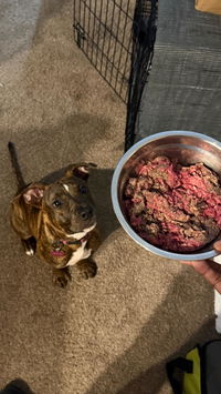 Heritage Blend Raw Dog Food