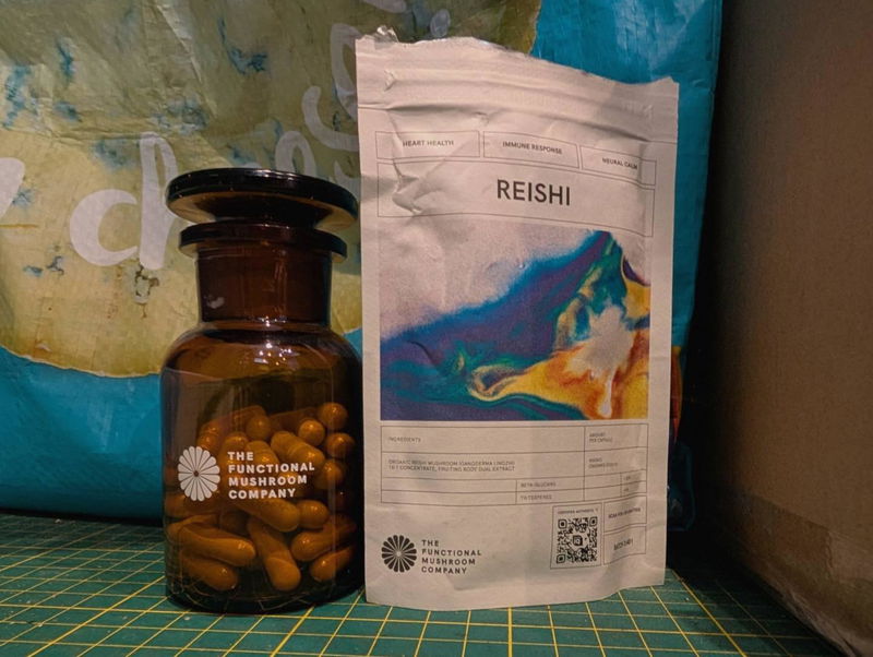 Photo of Organic Reishi sent by Gary Mills