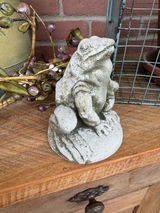 Dianna Skaggs review photo
