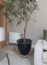 Plant Trolley Indoor Round - Beech Wood