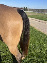David Hennings review photo