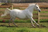 Gina review photo