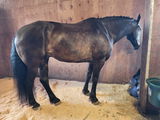 Jenna S review photo