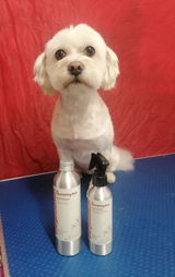 Oatmeal & Honey Coat Mist