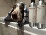 Ultimate Grooming Bundle