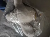 Burl Will review photo