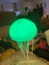 Illa Upton review photo