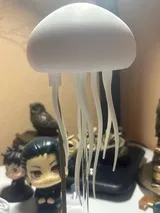 Sung Moen review photo