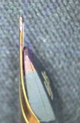 Alberto G. review photo
