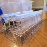Michelle S. review photo