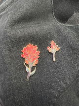 Brianna Castagnozzi review photo