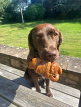 BAILEY review photo