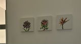 Letitia De Maudave review photo