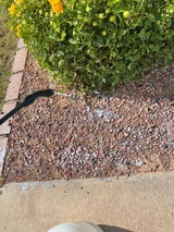 BrookeT review photo