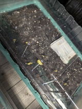 MarissaW review photo