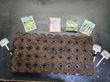 LynnW review photo