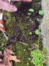 kimberlyr432_2316 review photo