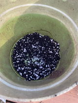 jamiem288_8311 review photo