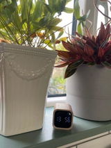 Eimear O. review photo