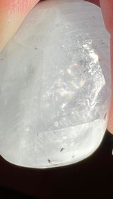 Terrie V. review photo
