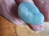 Terrie V. review photo