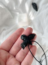 Wes review photo