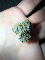 Marcus review photo