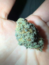 Marcus review photo